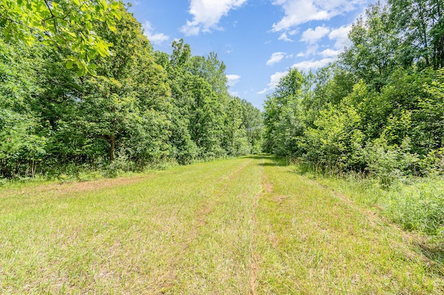 1035 Van Dyke Rd, Beaverton, MI 48612 - photo 31