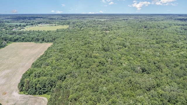 1035 Van Dyke Rd, Beaverton, MI 48612 - photo 40