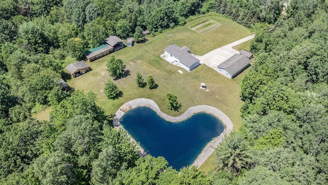 1035 Van Dyke Rd, Beaverton, MI 48612 - photo 41