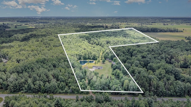 1035 Van Dyke Rd, Beaverton, MI 48612 - photo 42