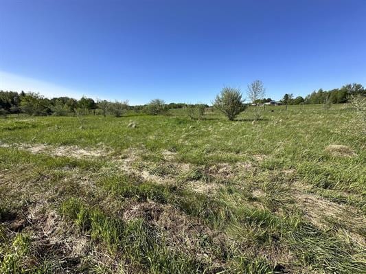 605 N Poor Farm Rd, Harrisville, MI 48740 - view of local wilderness with rural landscape