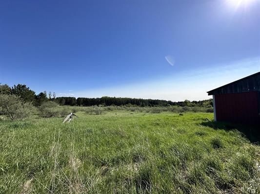 605 N Poor Farm Rd, Harrisville, MI 48740 - view of yard with a view of countryside and an outbuilding