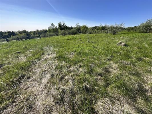 605 N Poor Farm Rd, Harrisville, MI 48740 - view of local wilderness with rural landscape