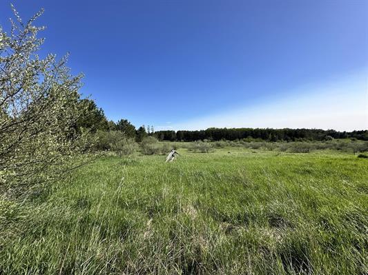605 N Poor Farm Rd, Harrisville, MI 48740 - view of local wilderness with rural landscape