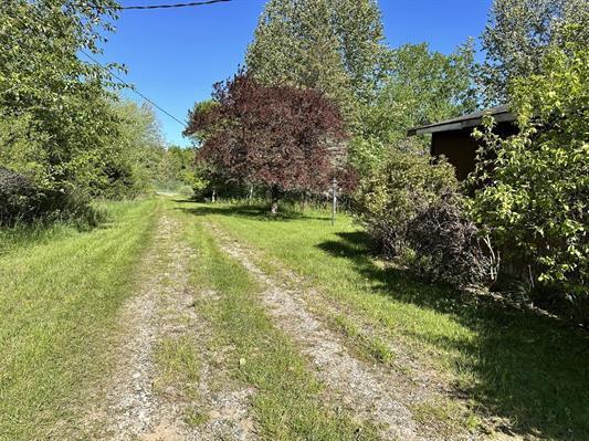 605 N Poor Farm Rd, Harrisville, MI 48740 - view of green lawn