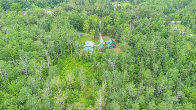 699 W Cherry Creek Rd, Mio, MI 48647 - photo 24