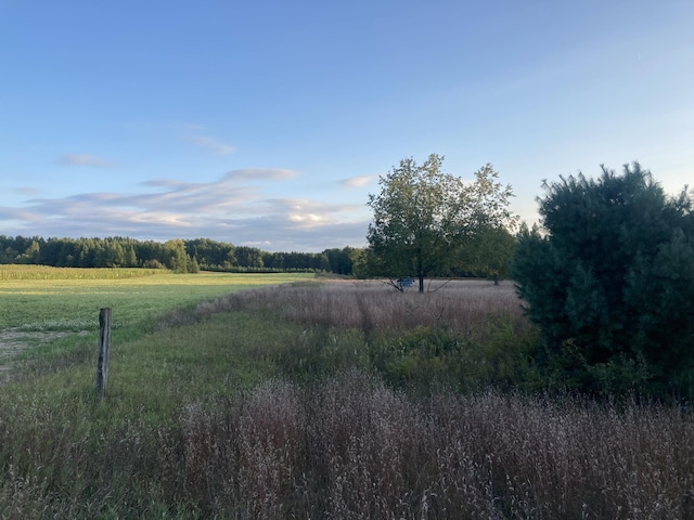 4740 Secord Rd, Wolverine, MI 49799 - photo 13