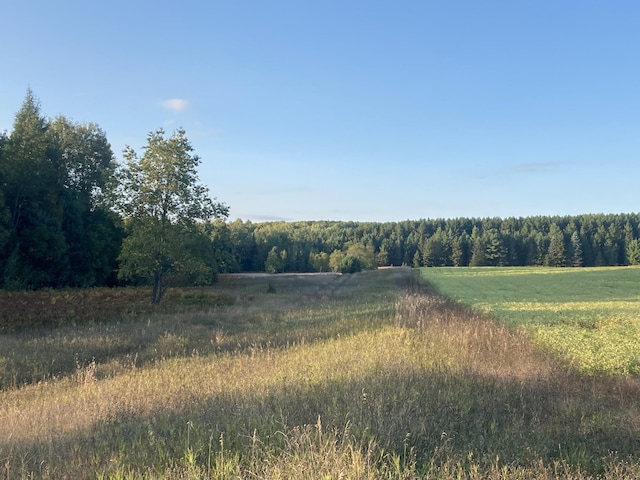 4740 Secord Rd, Wolverine, MI 49799 - photo 14