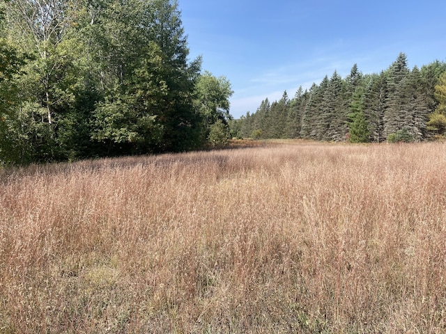 4740 Secord Rd, Wolverine, MI 49799 - photo 11
