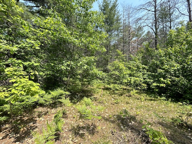 3 Holly Ln, Gaylord, MI 49735