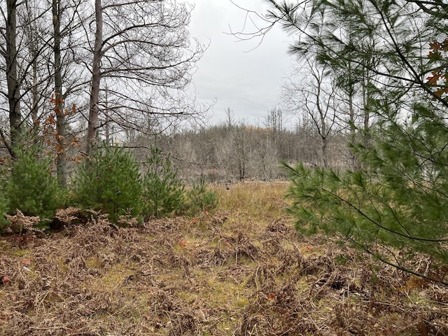 3 Holly Ln, Gaylord, MI 49735