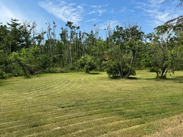 3800 Sheridan Rd, Lewiston, MI 49756 - photo 11