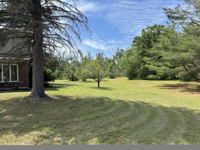 3800 Sheridan Rd, Lewiston, MI 49756 - photo 7