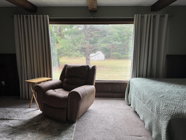3800 Sheridan Rd, Lewiston, MI 49756 - photo 41