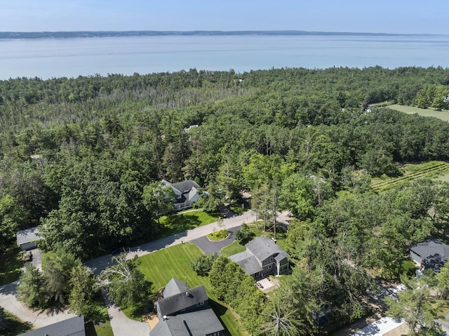 540 W Summit St, Harbor Springs, MI 49740 - photo 4