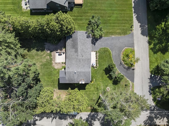 540 W Summit St, Harbor Springs, MI 49740 - photo 5
