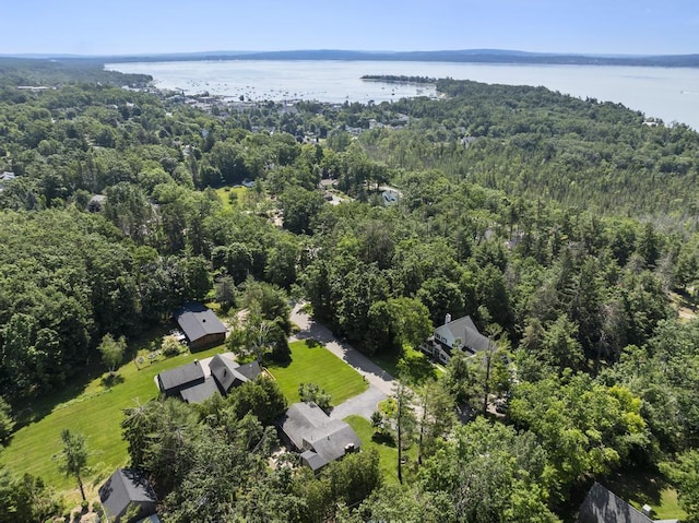540 W Summit St, Harbor Springs, MI 49740 - photo 3