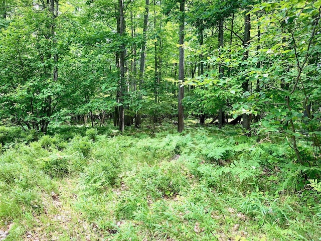 LOTS1-6 Garfield Blvd, Roscommon, MI 48653