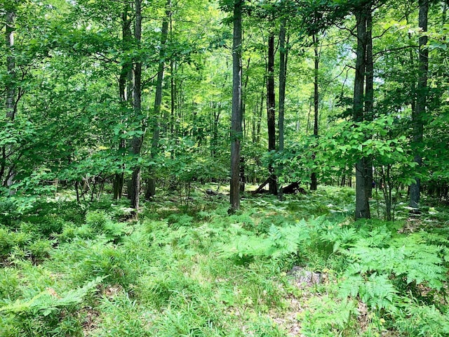 LOTS1-6 Garfield Blvd, Roscommon, MI 48653