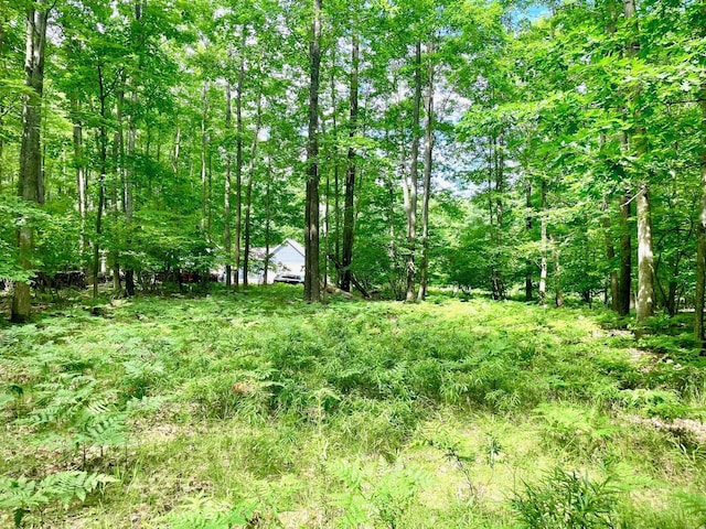 LOTS1-6 Garfield Blvd, Roscommon, MI 48653