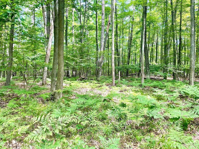 LOTS1-6 Garfield Blvd, Roscommon, MI 48653