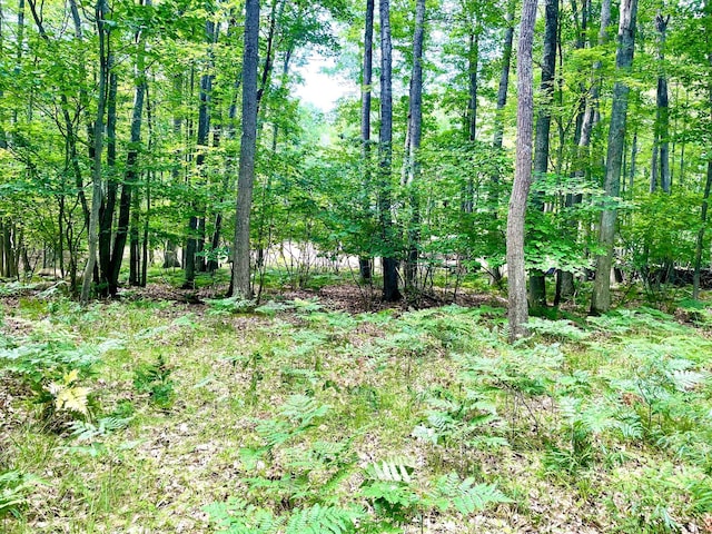 LOTS1-6 Garfield Blvd, Roscommon, MI 48653