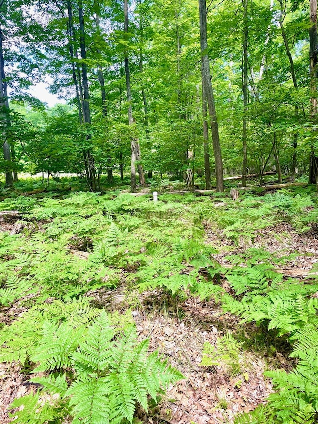 LOTS1-6 Garfield Blvd, Roscommon, MI 48653