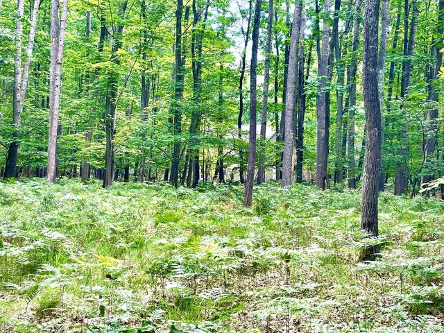 LOTS1-6 Garfield Blvd, Roscommon, MI 48653