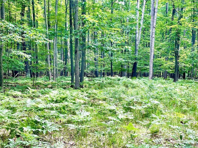 LOTS1-6 Garfield Blvd, Roscommon, MI 48653