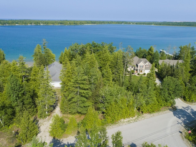 LOT19 Pioneer Trl, Presque Isle, MI 49777 - photo 6