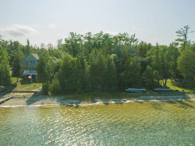 LOT19 Pioneer Trl, Presque Isle, MI 49777 - photo 1