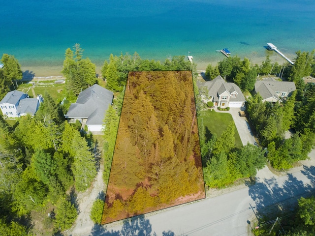 LOT19 Pioneer Trl, Presque Isle, MI 49777 - photo 16