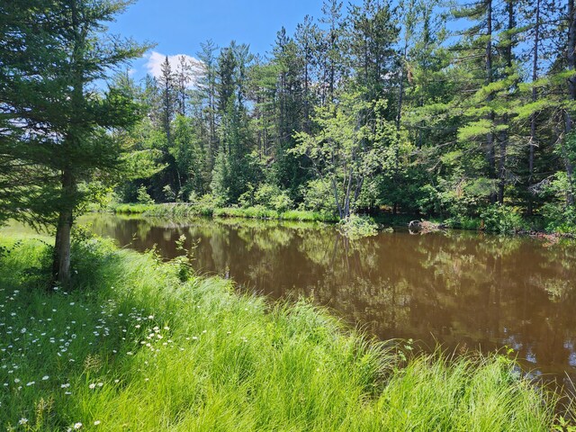 10465 Mason Rd, Onaway, MI 49765 - photo 4