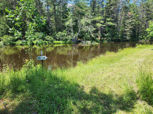 10465 Mason Rd, Onaway, MI 49765 - photo 5