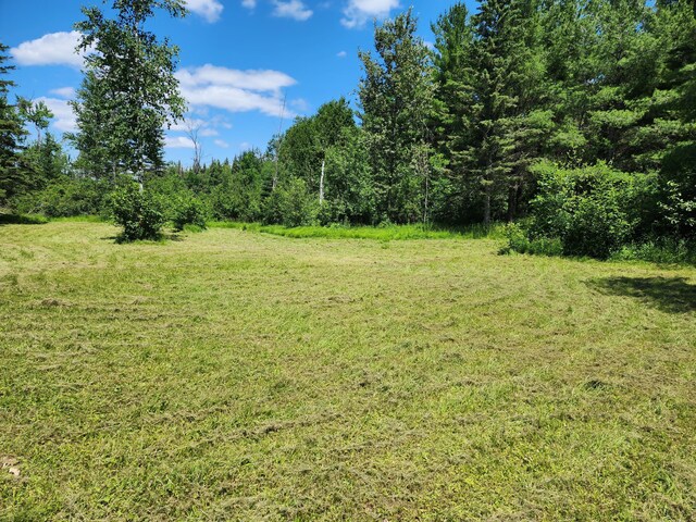 10465 Mason Rd, Onaway, MI 49765 - photo 6