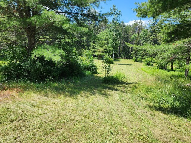 10465 Mason Rd, Onaway, MI 49765 - photo 7