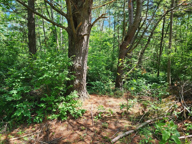 10465 Mason Rd, Onaway, MI 49765 - photo 8