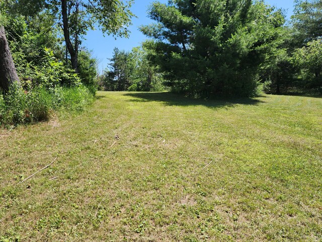 10465 Mason Rd, Onaway, MI 49765 - photo 10