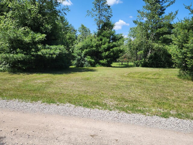 10465 Mason Rd, Onaway, MI 49765 - photo 16