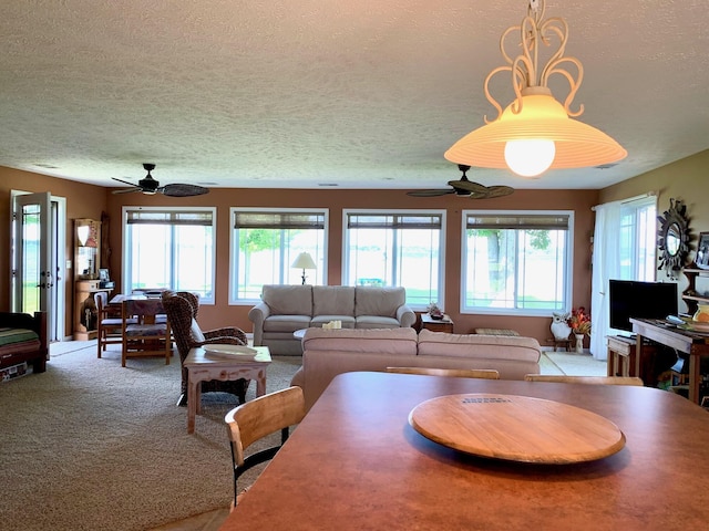 114 Canal Dr, Prudenville, MI 48651 - photo 13