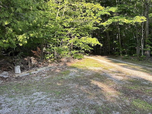 11148 E Grand Lake Rd, Presque Isle, MI 49777 - photo 31