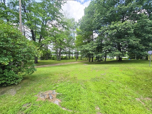6416 Jimary Ln, Gladwin, MI 48624 - view of grassy yard