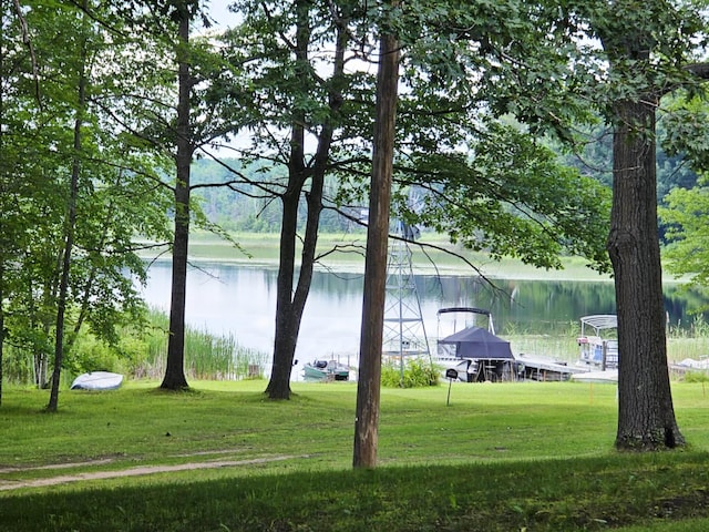 6416 Jimary Ln, Gladwin, MI 48624 - water view