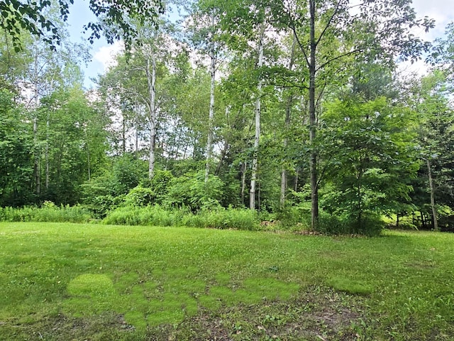 6416 Jimary Ln, Gladwin, MI 48624 - view of yard
