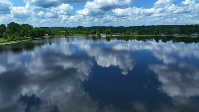 6416 Jimary Ln, Gladwin, MI 48624 - water view with a heavily wooded area