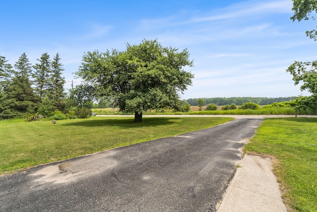 11333 N Extension Rd, Levering, MI 49755 - photo 26