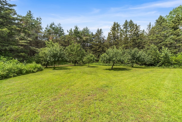 11333 N Extension Rd, Levering, MI 49755 - photo 38