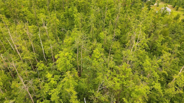 6717 Lynx Trl, Gaylord, MI 49735 - photo 1