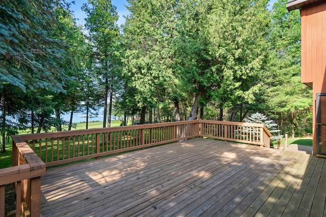 234 Patrick Dr, Indian River, MI 49749 - photo 11
