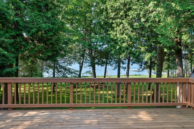 234 Patrick Dr, Indian River, MI 49749 - photo 12